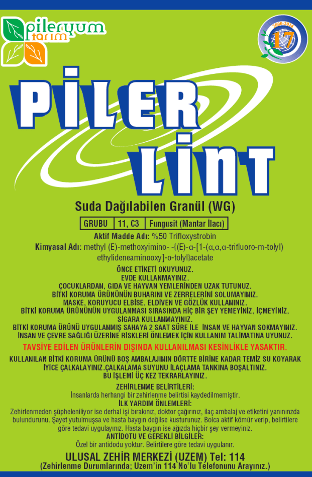 PİLER LİNT